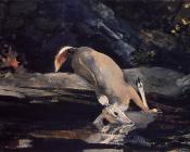 温斯洛 荷默 : Fallen Deer